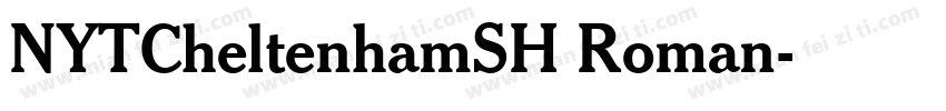 NYTCheltenhamSH Roman字体转换